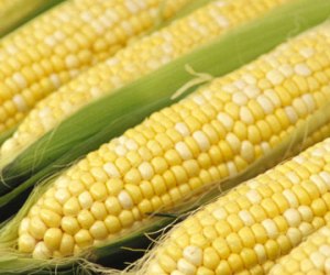 corn-husks1